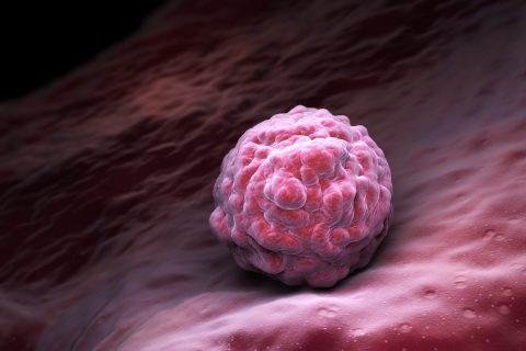 Embryonic stem cells , Cellular therapy , Regeneration , Disease treatment. 3D illustration